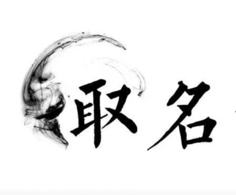  广宁宝宝取名 大师一对一人工起名
